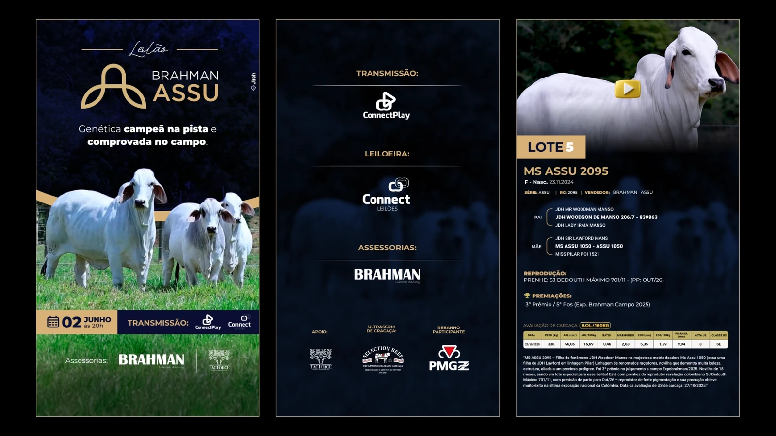 Aplicações digitais da identidade Brahman Assu