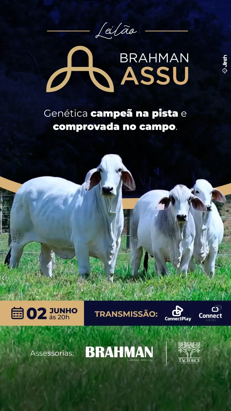 Capa do catálogo Brahman ASSU
