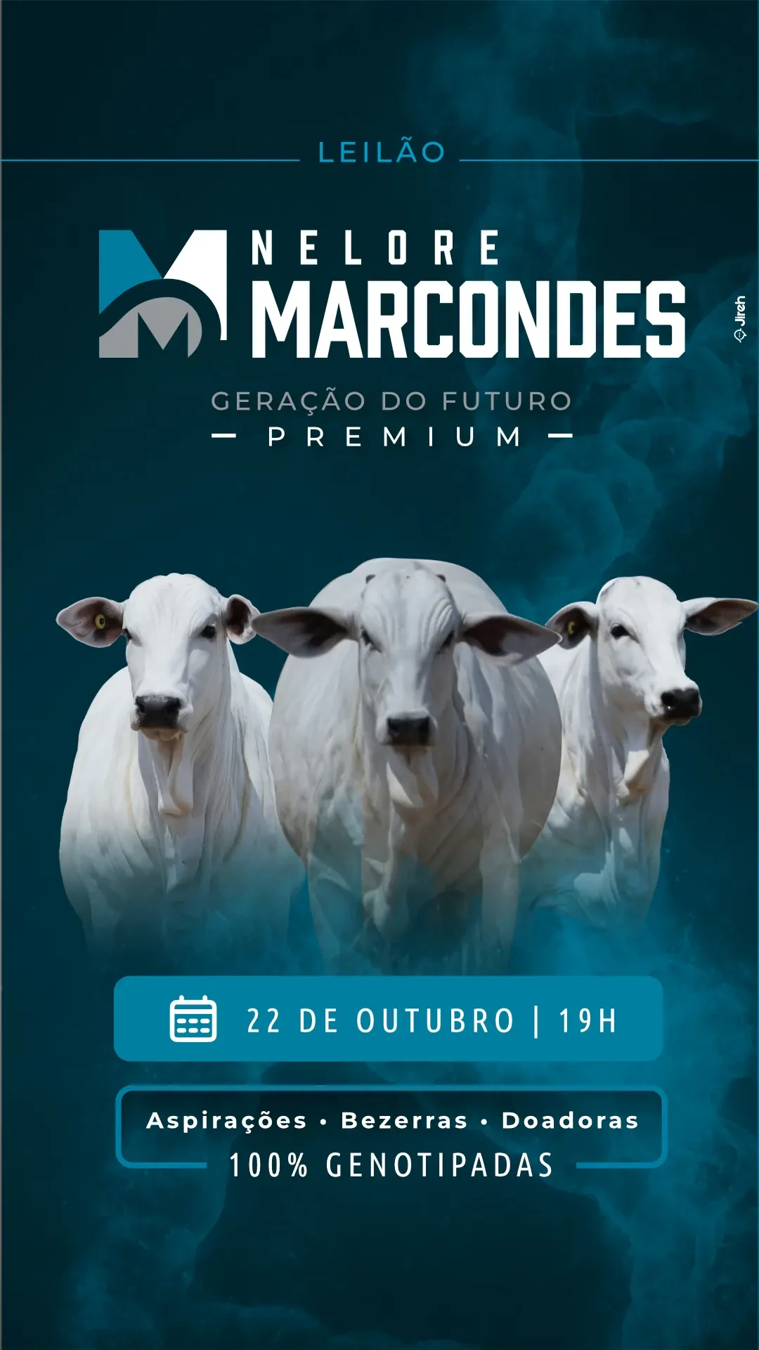 Capa do catálogo Nelore Marcondes